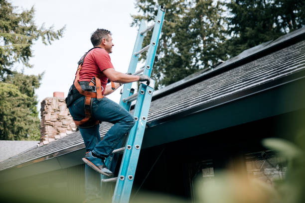 Best Solar Panel Roofing Installation  in Suffield Depot, CT